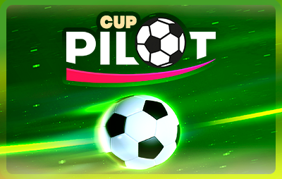 Pilot Cup